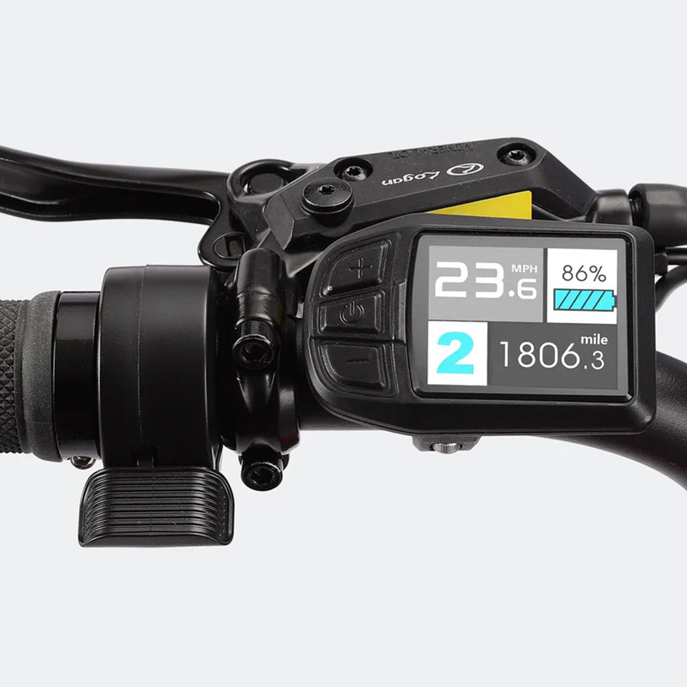 Grace 2.0 Step-Thru Electric Bike