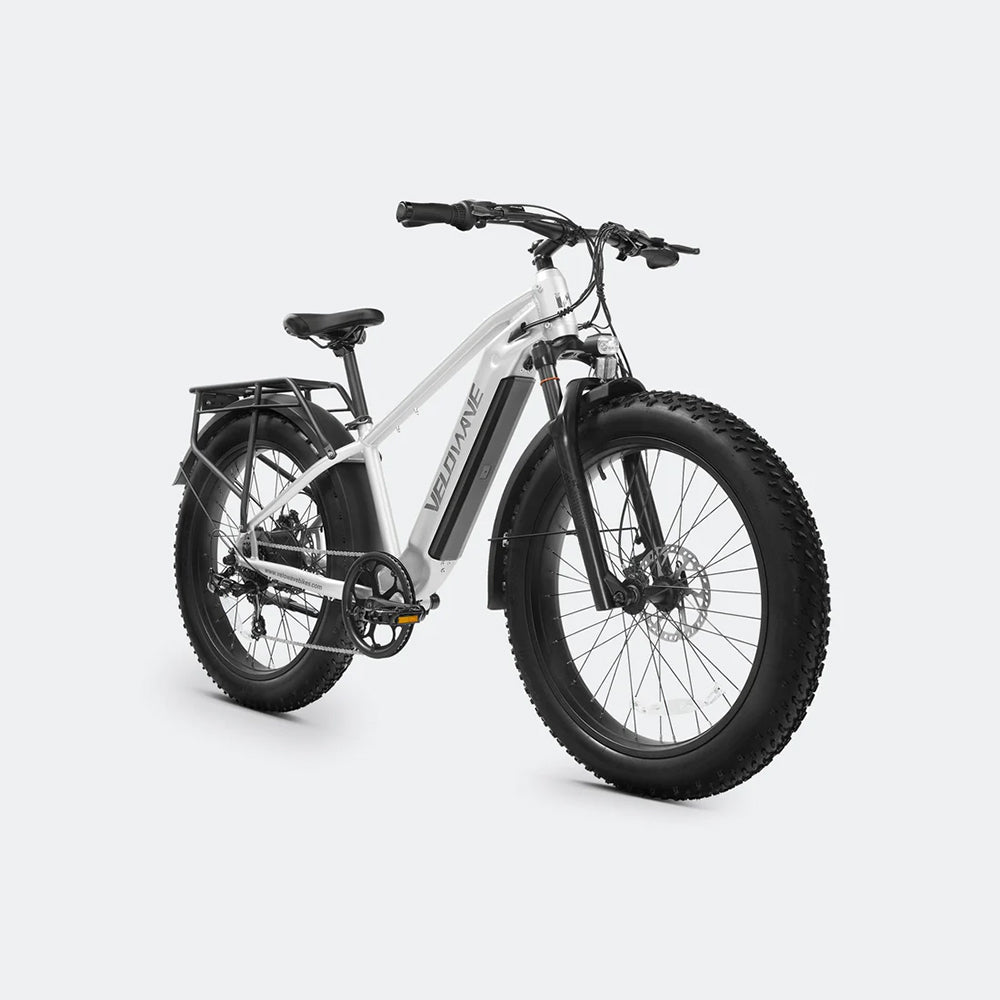 Ranger 2.0 Fat Tire All-Terrain Electric Bike