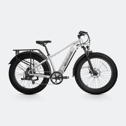 Ranger 2.0 Fat Tire All-Terrain Electric Bike