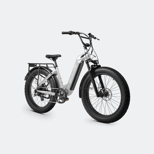 Ranger Step-Thru 2.0 Electric Bike