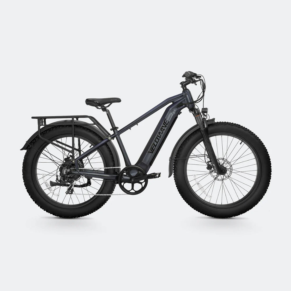 Ranger 2.0 Fat Tire All-Terrain Electric Bike