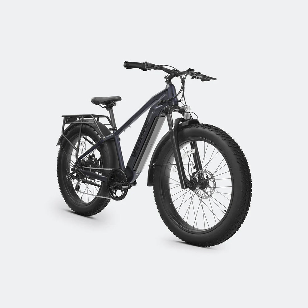 Ranger 2.0 Fat Tire All-Terrain Electric Bike