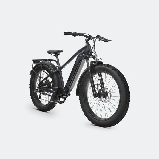 Ranger 2.0 Fat Tire All-Terrain Electric Bike