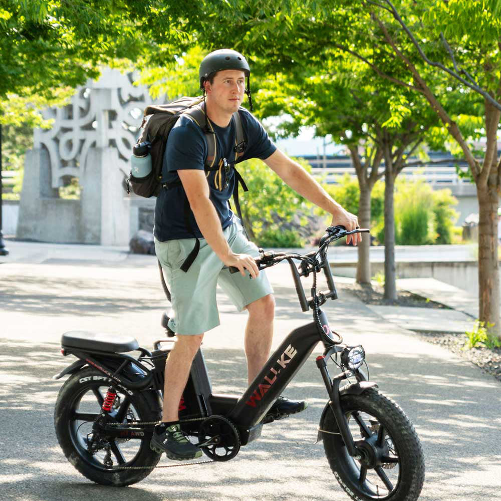 2024 Wallke H7 Step-thru Dual Motor Ebike