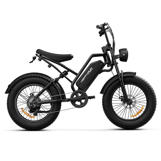 Tank G50 Cargo Black City E-bike